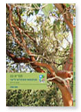 books books - תמ