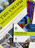 תמונת פריט